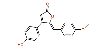 Rubrolide F